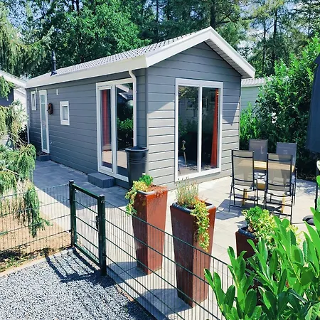 Vakantiehuis Our Beautiful New Vogelzang For Retreat Vorden